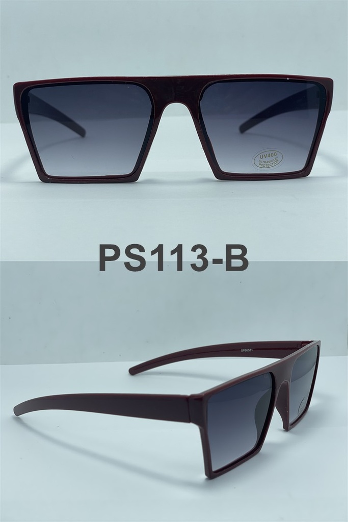 GAFAS DE SOL-2461 PS113-B UV400