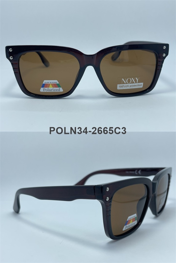[7973] GAFAS DE SOL-7973 POLN34-C POLARIZED UV400